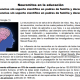 Neuromitos en la educación.